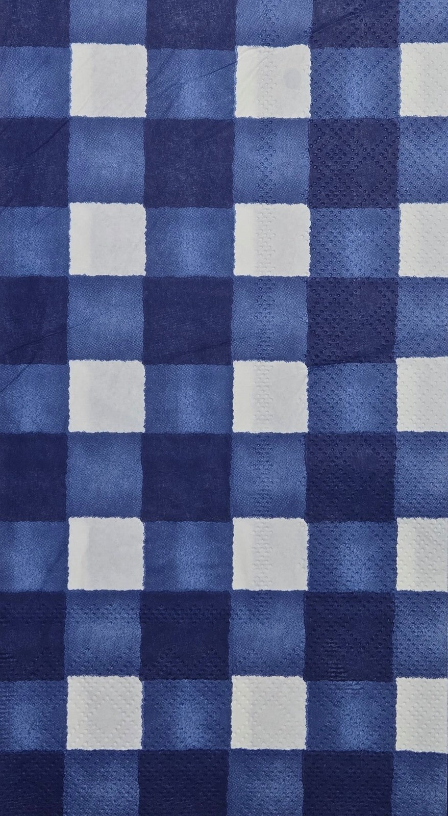 TWO Individual Paper Guest Decoupage Napkins - 2804 Blue Checkered Plaid