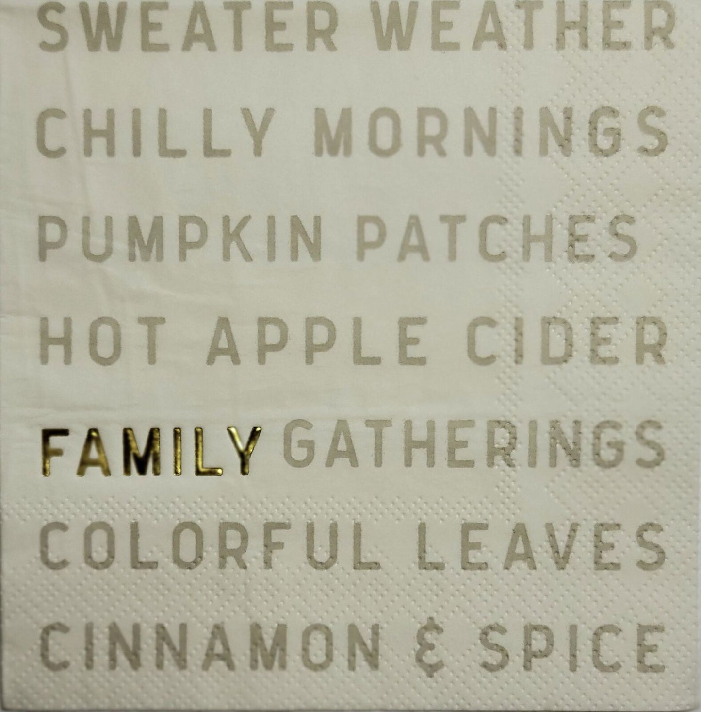 Two Individual Paper Cocktail Decoupage Napkins - 2498 Family Gathering Script