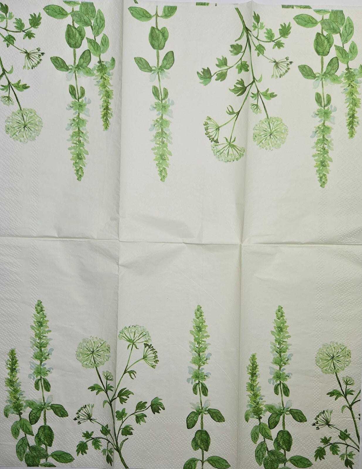 TWO Individual Paper Guest Decoupage Napkins - 2828 Dill and Basil Natural Herbs