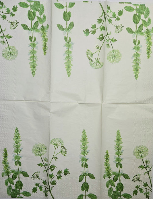 TWO Individual Paper Guest Decoupage Napkins - 2828 Dill and Basil Natural Herbs