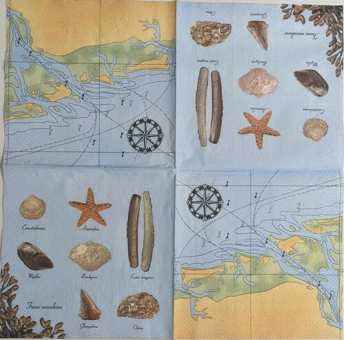 TWO Individual Paper Lunch Decoupage Napkins - Ocean Map 1070