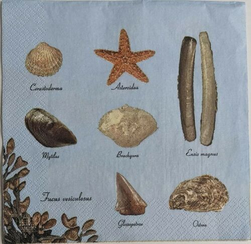 TWO Individual Paper Lunch Decoupage Napkins - Ocean Map 1070