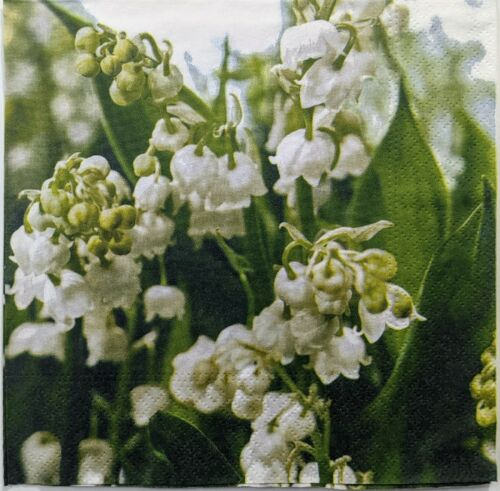 TWO Individual Paper Lunch Decoupage Napkins - Printanier Garden In Bloom 1195