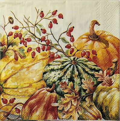 TWO Individual Paper Cocktail Decoupage Napkins - 1567 Pumpkins & Gourds