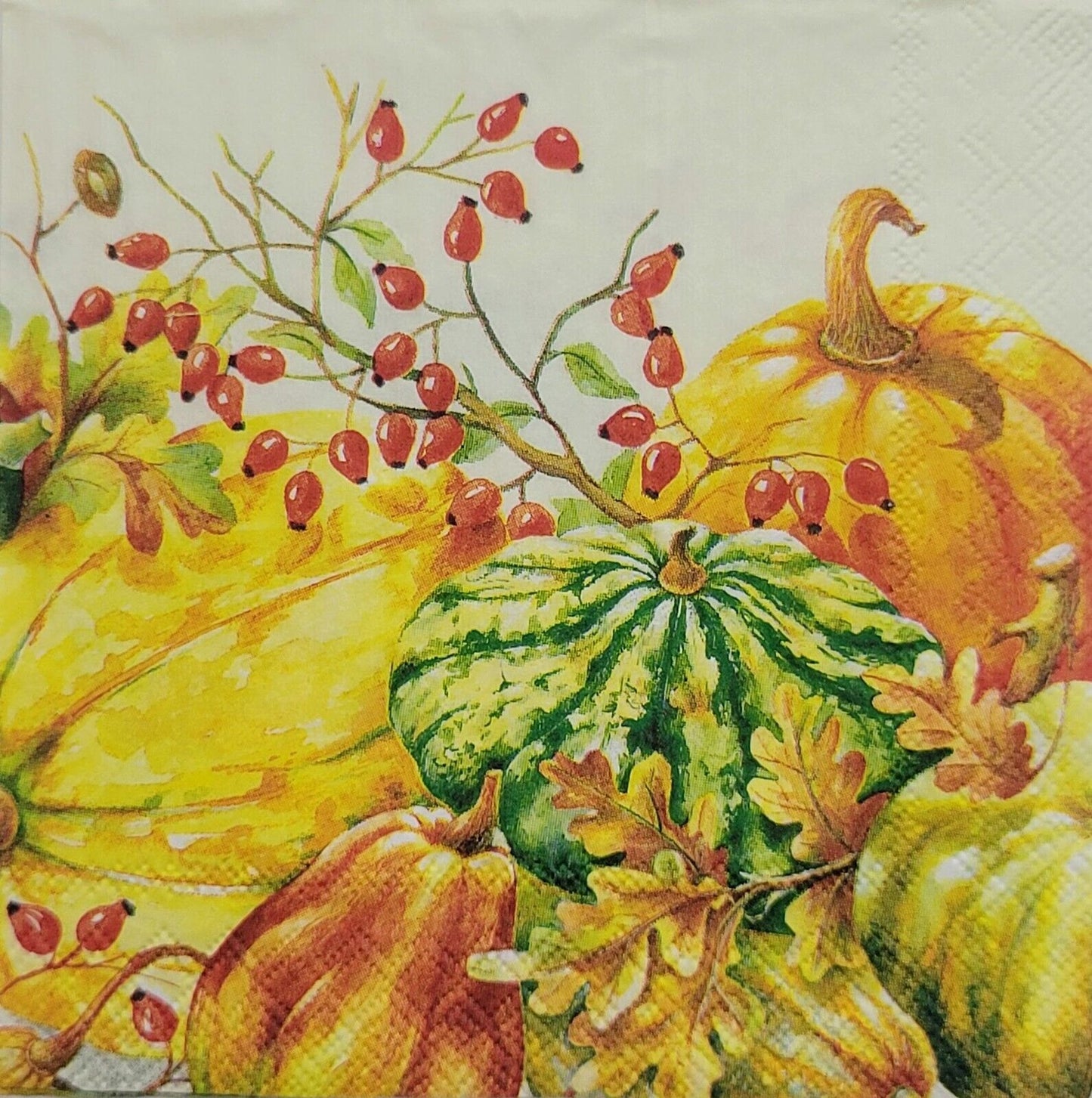 TWO Individual Paper Cocktail Decoupage Napkins - 2470 Pumpkins and Gourds