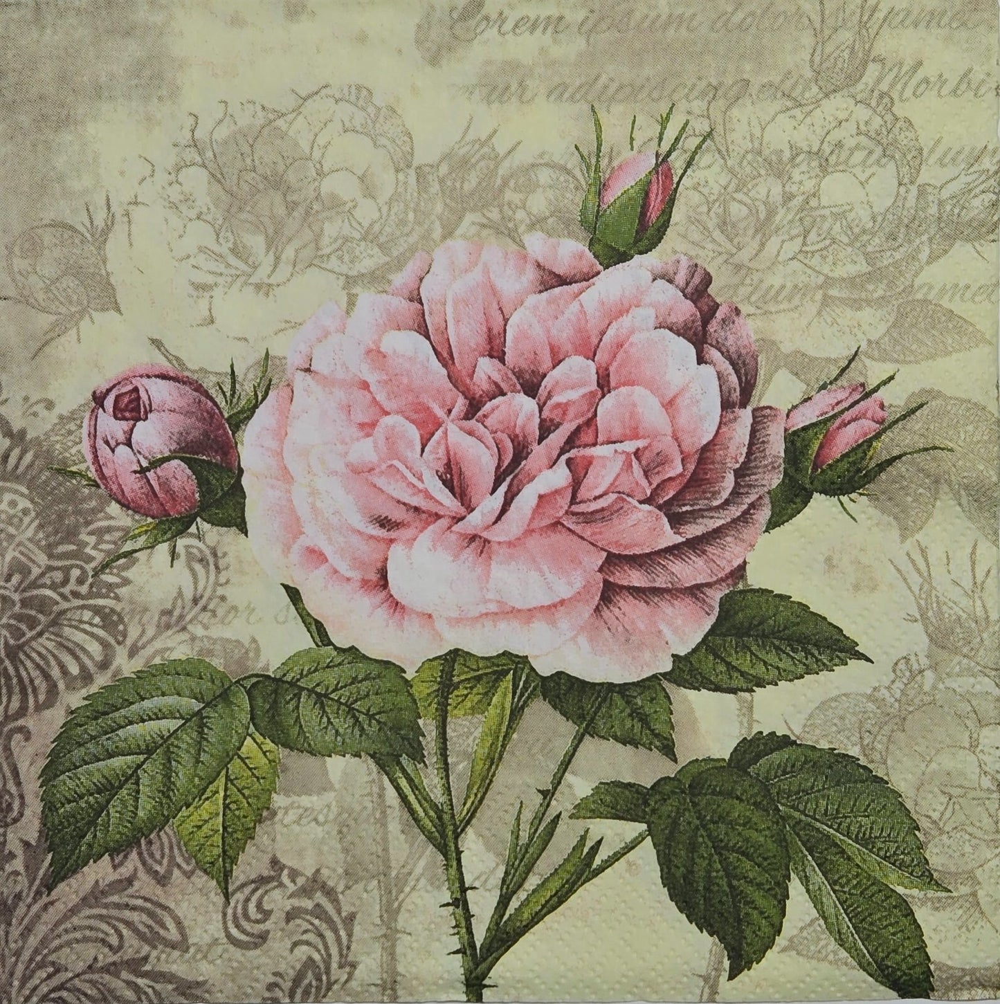 TWO Individual Paper Lunch Decoupage Napkins - 2796 Vintage Rose with Buds