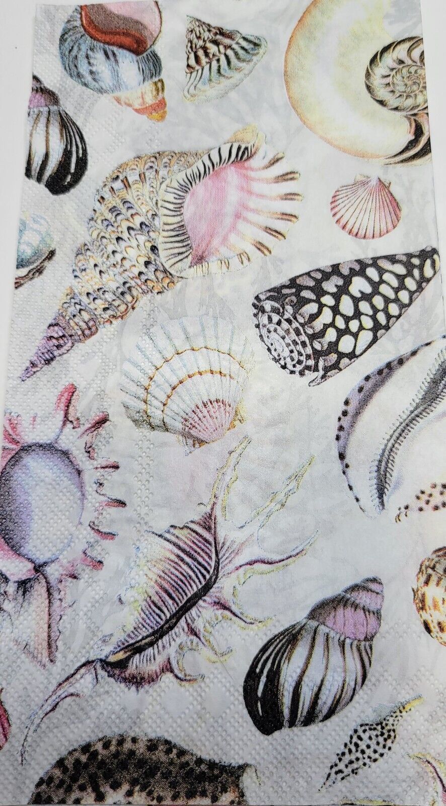 TWO Individual Paper Guest Decoupage Napkins - 2431 Shells of the Sea