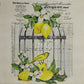 TWO Individual Paper Cocktail Decoupage Napkins - 2398 Lemon Birdcage w Script