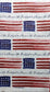 TWO Individual Paper Guest Decoupage Napkins - 2021 America The Beautiful