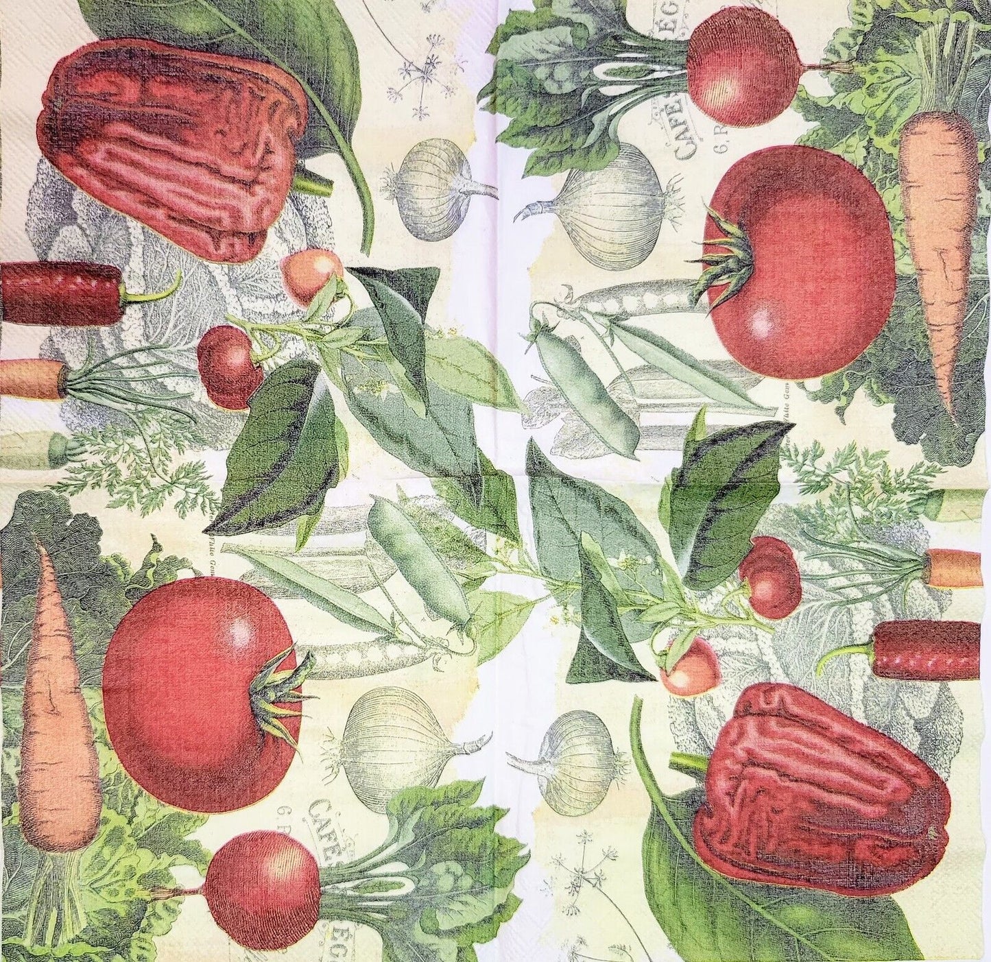 TWO Individual Paper Cocktail Decoupage Napkins - 2190 Vegetable Garden