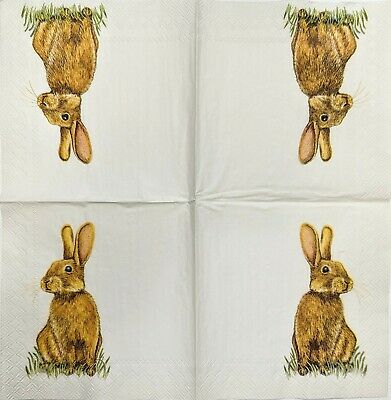 TWO Individual Paper Cocktail Decoupage Napkins - 1912 Bunny Pose