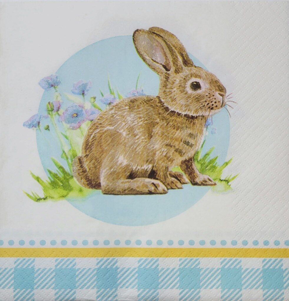 TWO Individual Paper Lunch Decoupage Napkins - 2338 Checkered Spring Bunny