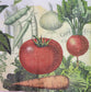 TWO Individual Paper Cocktail Decoupage Napkins - 2190 Vegetable Garden