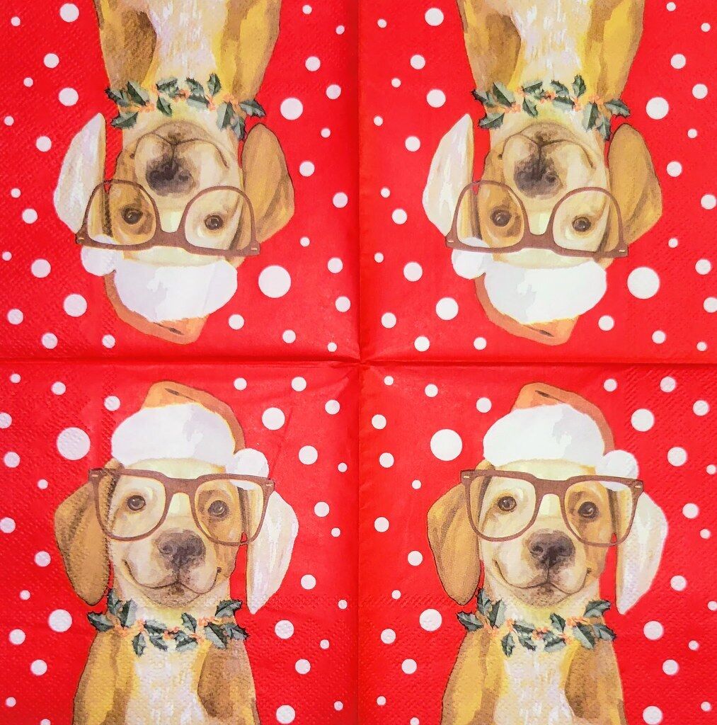 TWO Individual Paper Cocktail Decoupage Napkins- 2230 Nerdy Dog with Santa Hat