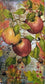 TWO Individual Paper Guest Decoupage Napkins - 1631 Autumn Apples