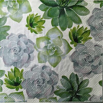 TWO Individual Paper Cocktail Decoupage Napkins - 1543 Succulent Garden
