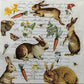 TWO Individual Paper Cocktail Decoupage Napkins - 1893 Scripted Bunny Hunt