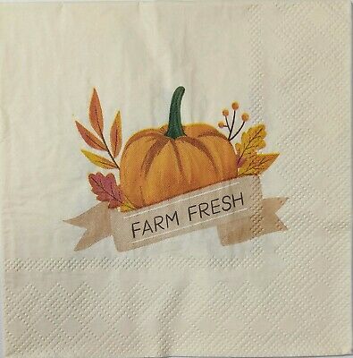 TWO Individual Paper Cocktail Decoupage Napkins - 1575 Farm Fresh Pumpkins