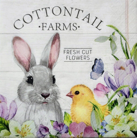 2 Individual Paper Lunch Decoupage Napkins - 2336 Cottontail Farms Bunny & Chick