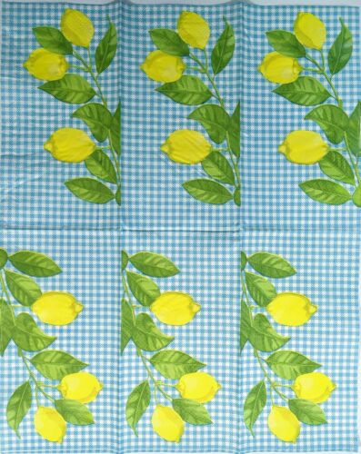 TWO Individual Paper Guest Decoupage Napkins - Lemon On Blue Check 1230