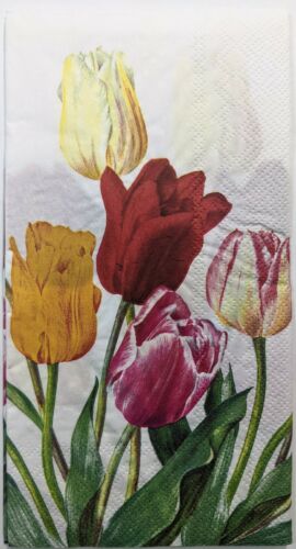 TWO Individual Paper Guest Decoupage Napkins -Tulip Splendor Welcome Spring 1182