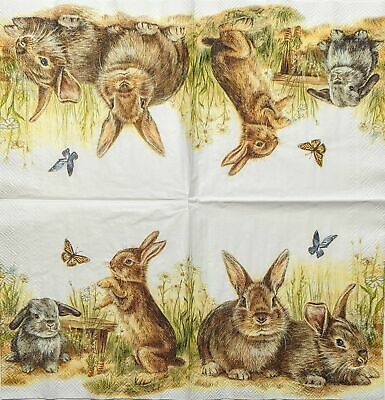 TWO Individual Paper Cocktail Decoupage Napkins - 1856 Bunny and Clyde