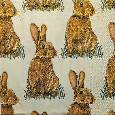 TWO Individual Paper Lunch Decoupage Napkins - 1876 Bunny Poses