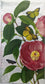 TWO Individual Paper Guest Decoupage Napkins - Glamorous Spring Flowers 1179