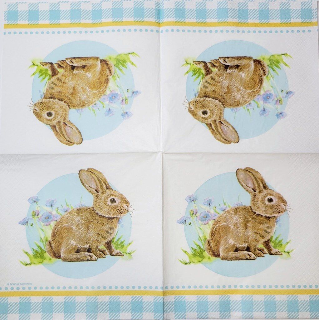 TWO Individual Paper Lunch Decoupage Napkins - 2338 Checkered Spring Bunny