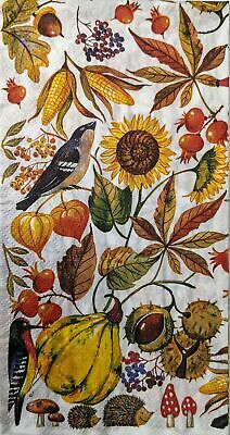 TWO Individual Paper Guest Decoupage Napkins - 1629 Fall Owl in Nature