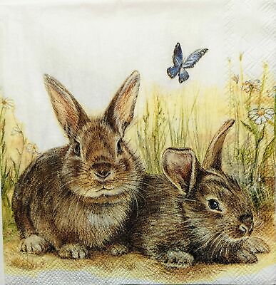 TWO Individual Paper Cocktail Decoupage Napkins - 1856 Bunny and Clyde