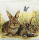 TWO Individual Paper Cocktail Decoupage Napkins - 1856 Bunny and Clyde