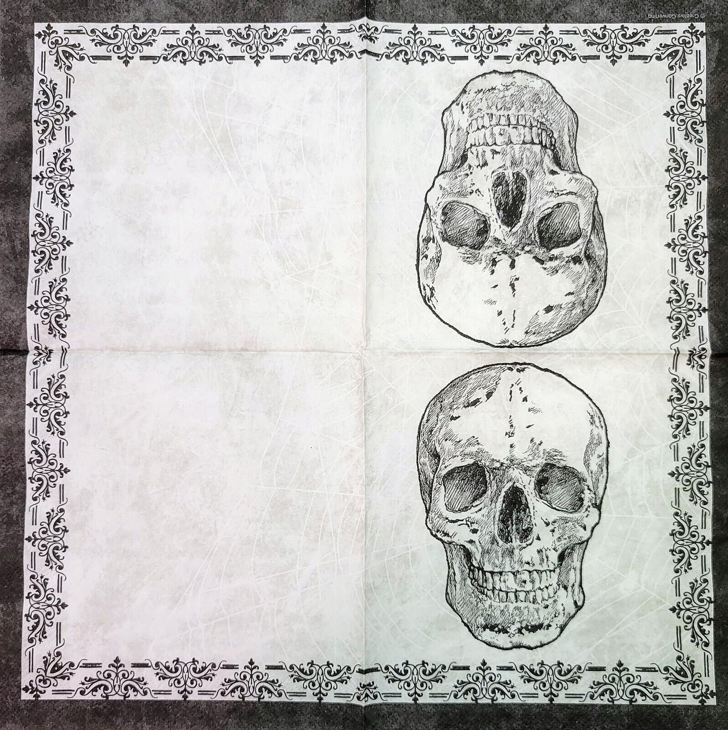 TWO Individual Paper Lunch Decoupage Napkins - 2152 Web Skull and Border