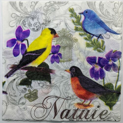 TWO Individual Paper Lunch Decoupage Napkins - Bird Nature Colorful 1112