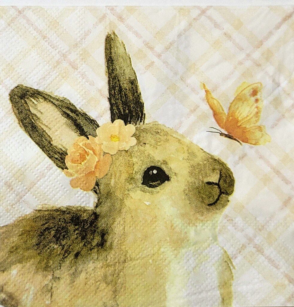 TWO Individual Paper Cocktail Decoupage Napkins- 2326 Bunny and Butterfly Friend