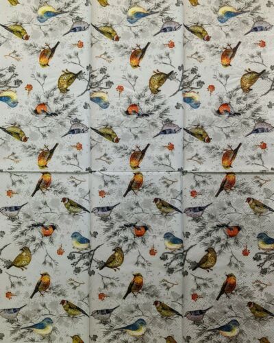 TWO Individual Paper Guest Decoupage Napkins- Natures Colorful Birds 1266