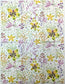 TWO Individual Paper Guest Decoupage Napkins -Linda Spring Flower Explosion 1180