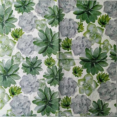 TWO Individual Paper Cocktail Decoupage Napkins - 1543 Succulent Garden