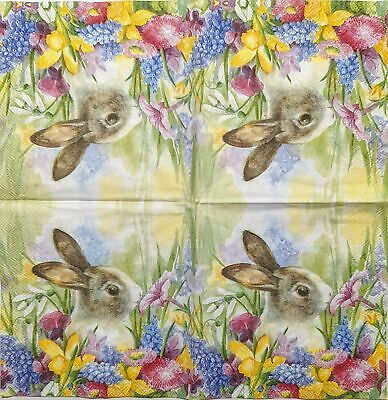 TWO Individual Paper Cocktail Decoupage Napkins - 1857 Bunny in Colorful Meadow