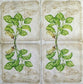 TWO Individual Paper Lunch Decoupage Napkins - 1972 Herbs & Spices Basil Farm