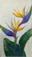 TWO Individual Paper Guest Decoupage Napkins-1646 Yellow Bird of Paradise Flower