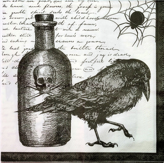 TWO Individual Paper Lunch Decoupage Napkins - 2153 Scripted Raven Poison Bottle