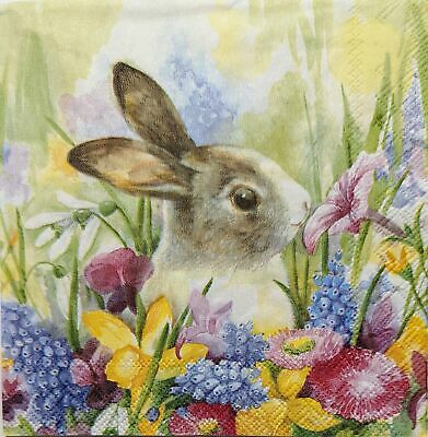 TWO Individual Paper Cocktail Decoupage Napkins - 1857 Bunny in Colorful Meadow