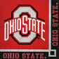 2 Individual Paper Cocktail Decoupage Napkins - 2062 Ohio State Red w Border