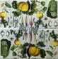 TWO Individual Paper Cocktail Decoupage Napkins- Culinary Herbs 1289