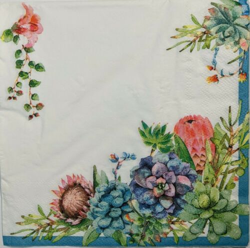 TWO Individual Paper Lunch Decoupage Napkins - Soft Succulents & Vine 1344