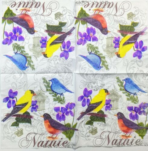 TWO Individual Paper Lunch Decoupage Napkins - Bird Nature Colorful 1112