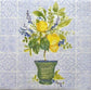 TWO Individual Paper Cocktail Decoupage Napkins - 1953 Potted Lemon Tree Plant