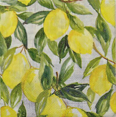 TWO Individual Paper Cocktail Decoupage Napkins - 1765 Lemon Grove