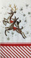 TWO Individual Paper Guest Decoupage Napkins - 1734 Peppermint Striped Reindeer